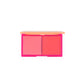 Blush And Blur - Cheek Duo